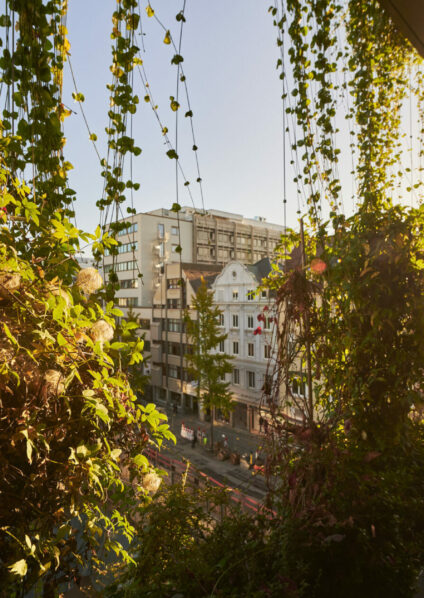 Calwer Passage Stuttgart Grünfassaden