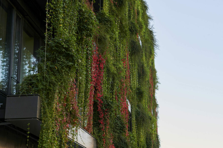 Calwer Passage green facade