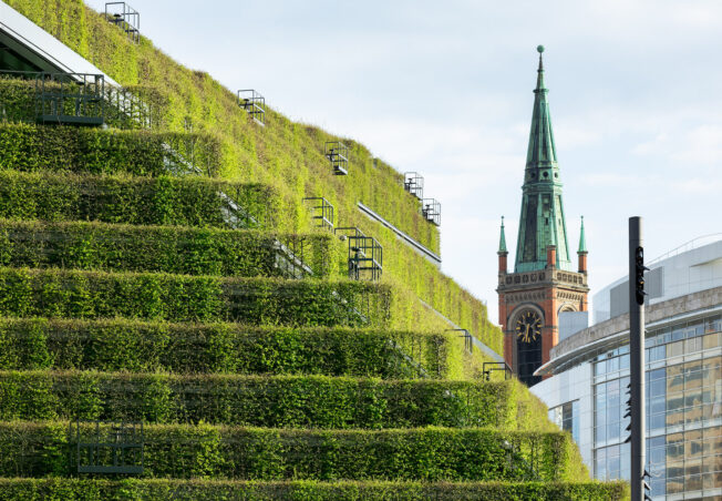 Grünfassaden: Natur in der Stadt