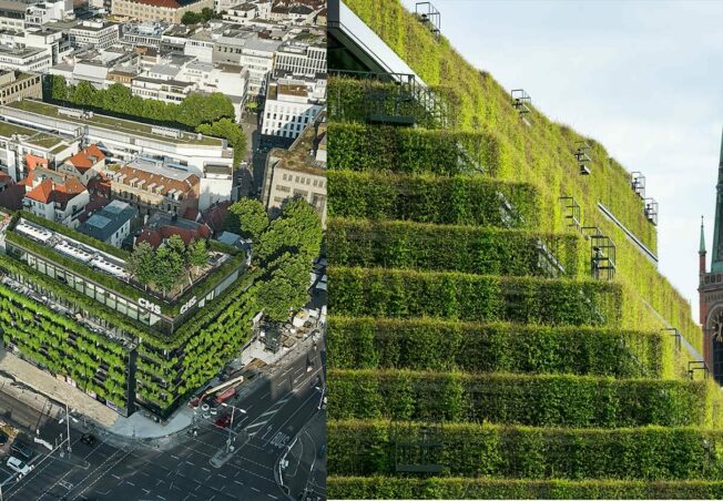 The Facade as a Vertical Green Space